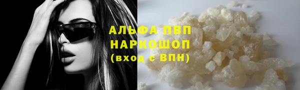 гидра Зеленокумск