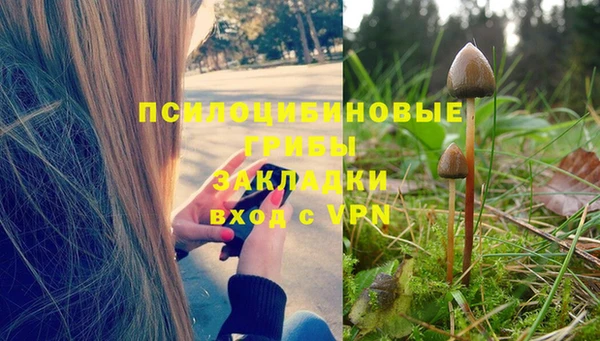 индика Гусь-Хрустальный