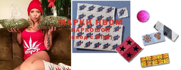 гашиш Богданович