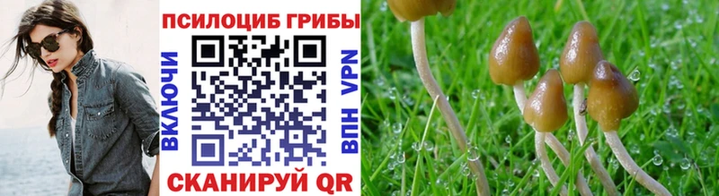 Псилоцибиновые грибы прущие грибы  Бородино 