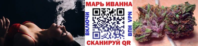 Конопля сатива  Бородино 